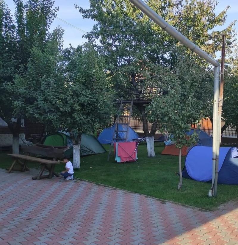 Campare la cort pe terasă — poza 2